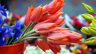 Какие услуги и компании заработали с 4 мая в Казахстане