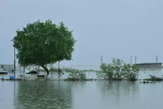 Наводнение в Туркестанской области: создана правительственная комиссия