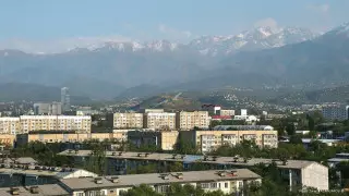 Назван самый зеленый район Алматы
