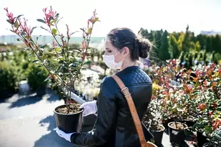 Треть казахстанцев, отправленных  на карантин, нарушали режим изоляции