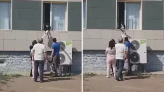 Передачу документов через окно организовали в спецЦОНе Павлодара