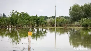300 человек эвакуировали из-за схода селя в Узбекистане