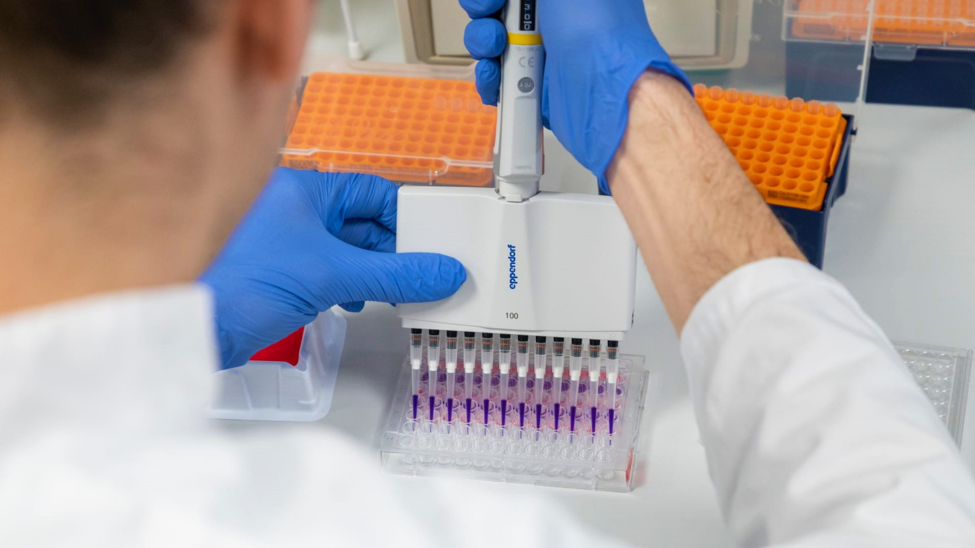 Double-blind рандомизированное исследование