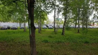 Полсотни брошенных новых Toyota Camry стоят в лесу