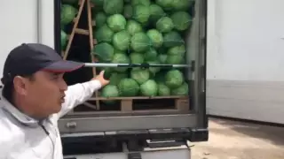 Туркестанские фермеры столкнулись с новыми трудностями