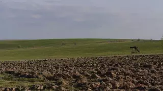 Участки размером с Израиль выдали "агашкам" в Мангистау - адвокат