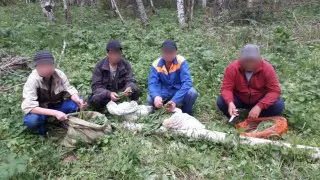 Сборщиков редких растений задержали в лесу ВКО