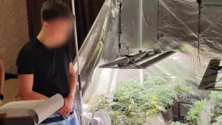 Элитные кусты гидропоники нашли у астанчанина в квартире