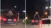 В трусах на крыше авто. Астанчанина наказала полиция