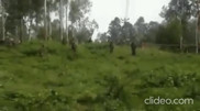 Маскировку вьетнамского спецназа показали на видео