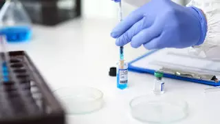 Коронавирусқа қарсы вакцина қашан дайын болады? Ғалымдардың жауабы