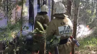 Лесной пожар произошел в ВКО