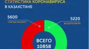 Инфографика по коронавирусу в Казахстане: прирост 90 процентов за неделю в ВКО