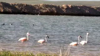 20 чудес природы и историй в ERG