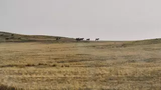 Признать геноцид казахов на международном уровне попросили депутаты