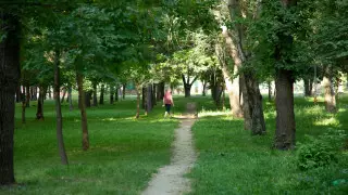 "Уничтожением" парка возмущены алматинцы