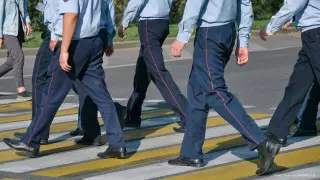 7 борцов с наркобизнесом освободили от должностей в Шымкенте