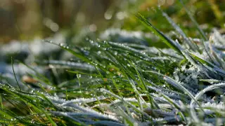 Заморозки придут в Казахстан