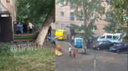Подробности нападения на полицейского рассказали в Павлодаре