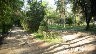 "Уничтожение" парка в Алматы: планируют срубить 169 деревьев