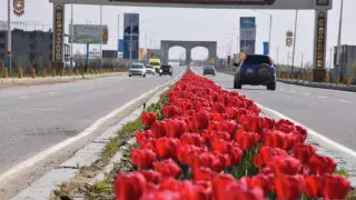 Карантин продлили в Туркестанской области