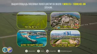 В Алматинской области завершилась посевная кампания