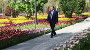 Обнародованы видеокадры покушения на президента Таджикистана
