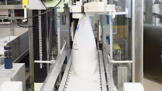 35 тысяч тонн сахара в год будет выпускать завод в Алматинской области