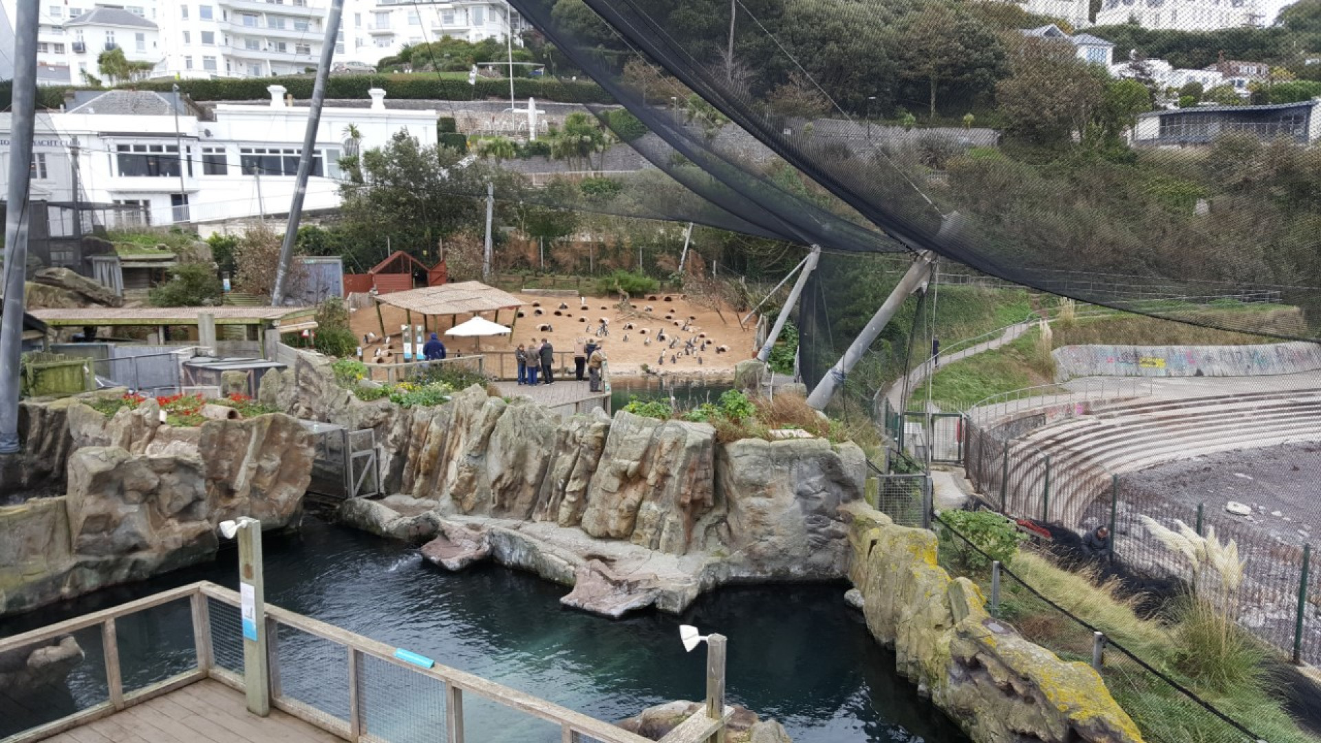 Living coasts. Living Coasts Торки.