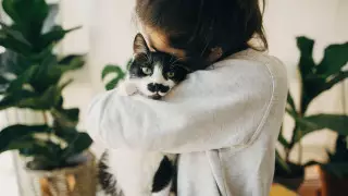 Митинг отменили в Алматы