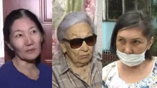 "Черные, страшные, большие". Тараканы оккупировали микрорайон в Алматы