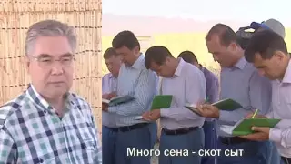 Президент Туркменистана проехал на комбайне и зачитал пословицы о сельском хозяйстве