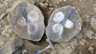 Раскрыта тайна "мяча" из Антарктиды