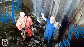 Необычную операцию по спасению утят провели в Москве