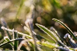 Сильная жара и заморозки ожидаются в Казахстане