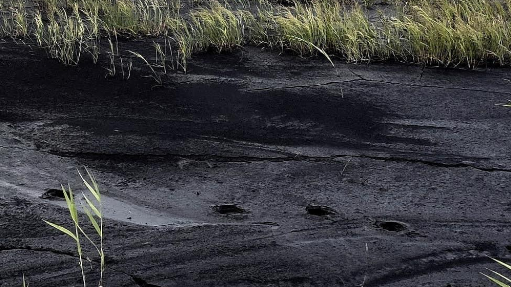 Причину загрязнения почерневшей реки устанавливают в Караганде