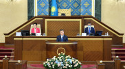 Мамин выступил в Парламенте