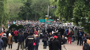 "Олардың ойы белгілі". Тоқаев митингілер туралы пікір білдірді