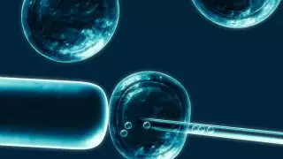 Более 2 тысяч человек вылечили от коронавируса стволовыми клетками в ОАЭ