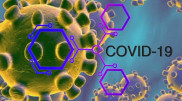В Нур-Султане запустили сайт с данными о COVID-19