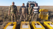 Тысячи птиц из ОАЭ "осели" в Казахстане