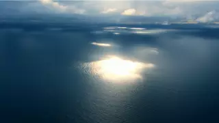 Фильм о природе Каспия вышел на Discovery Channel