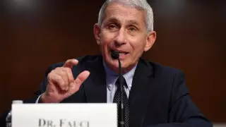 Главный инфекционист США предупредил об опасной мутации коронавируса