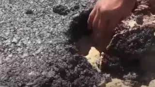 Новую дорогу в Мангистау можно поднять рукой