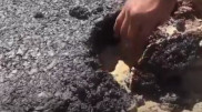 Новую дорогу в Мангистау можно поднять рукой
