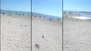 Житель Актау возмутился разграничением мест для купания