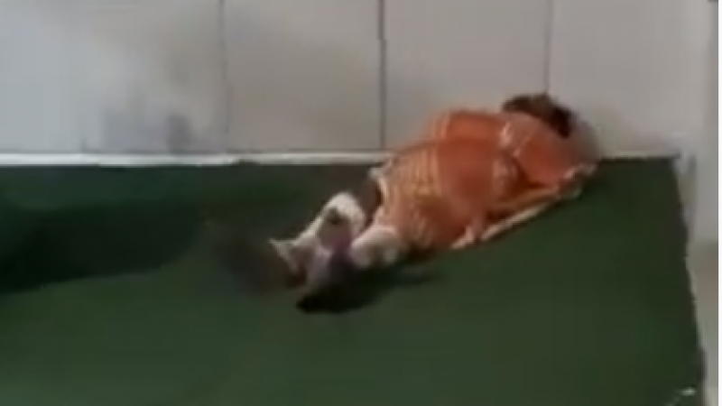 Врач прокомментировал видео с лежащим мужчиной возле больницы в Нур-Султане