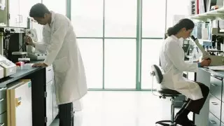 Выявлены невосприимчивые к коронавирусу домашние животные