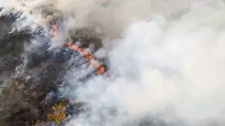 Пожары в Арктике привели к рекордному выбросу вредных газов в атмосферу - СМИ