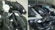 Видео с мешками для трупов прокомментировал Сапарбаев